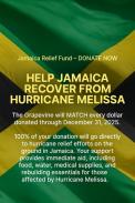 Hurricane Melissa Relief Fund - $10 Donation 2010