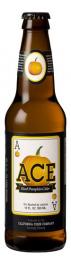 Ace - Hard Pumpkin Cider (6 pack 12oz bottles) (6 pack 12oz bottles)
