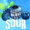 CT Valley Brewing Co. - Blueberry Burst - 5.5% Sour Ale (4 pack 16oz cans) (4 pack 16oz cans)