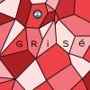 Kent Falls Brewing - Grise - 4.13% - Farmhouse Ale with Cherry (500)