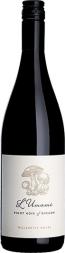 L'Umami - Willamette Valley Pinot Noir 2022 (750ml) (750ml)